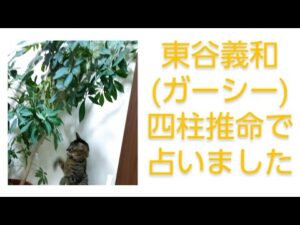 (ガーシー)東谷義和を四柱推命で占いました　綾野剛、城田優との相性など